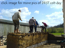 Treading mass cob at Devon Rural Skills Trust cob day at Hatherland Mill, taught by members of Jack in the Green