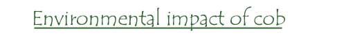 The environmental impact of cob