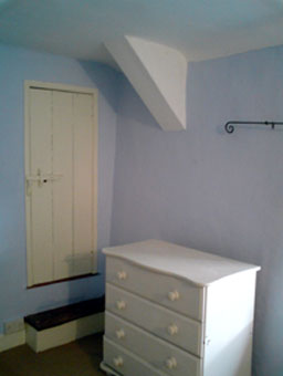 natural breathable paint with blue tint